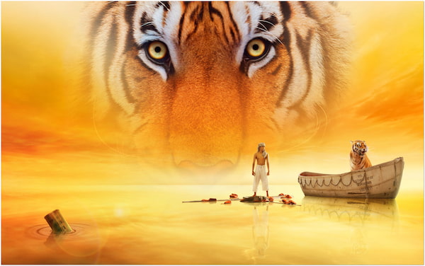 Blu-ray Movie Life of Pi