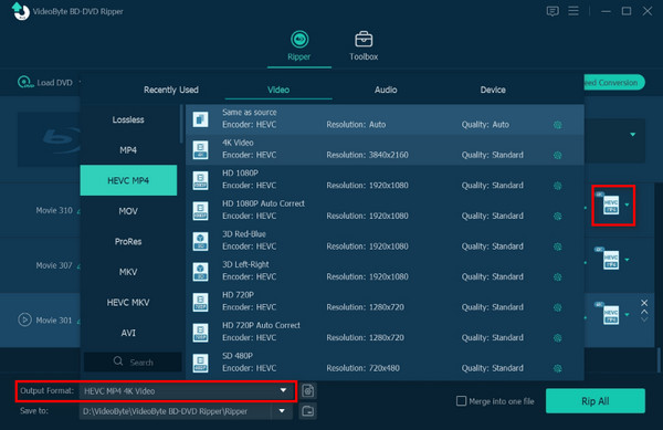 Select Output Format Videobyte