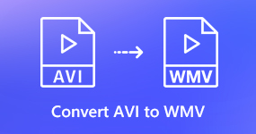 Convert AVI to WMV