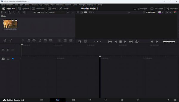 Davinci Resolve Import A Video