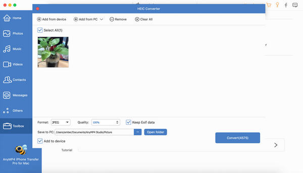 Convert HEIC to JPG on iPhone Transfer Pro