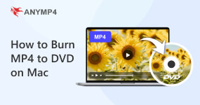 MP4 to DVD