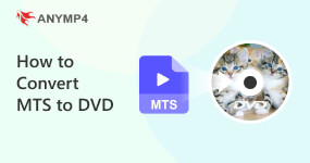 How to Convert MTS to DVD