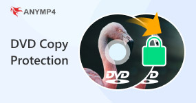 Dvd Copy Protection S