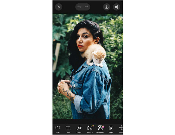 Picsart Interface