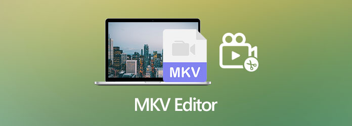 MKV Editor