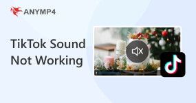 TikTok Sound Not Working