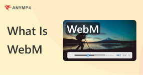 What is WebM