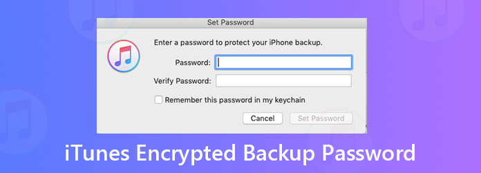 iTunes Backup Password