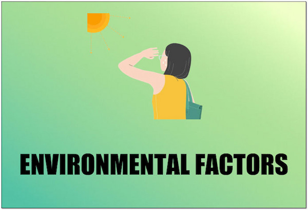 Environmental Factors