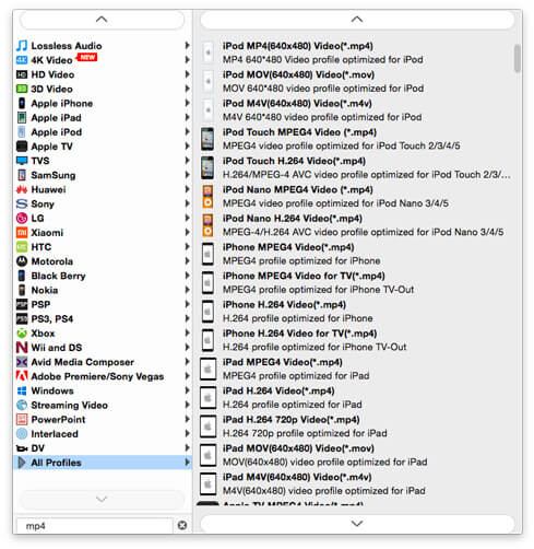 Choose MP4 Output Format