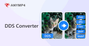 DDS Converter