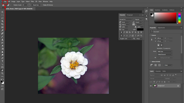 Adobe Photoshop Open File