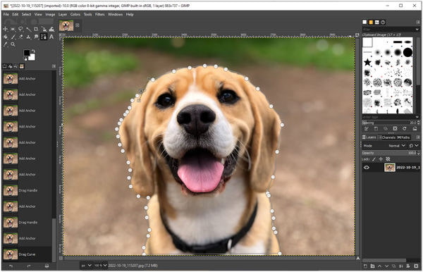 Delete Image Background in GIMP Path