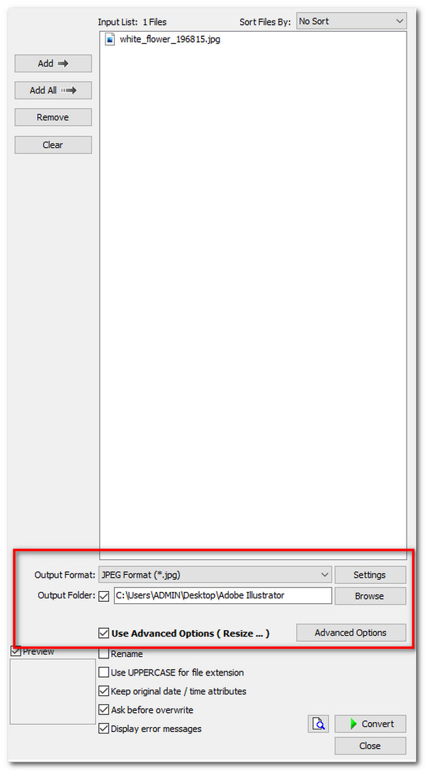 FastStone Output Format Advanced Options