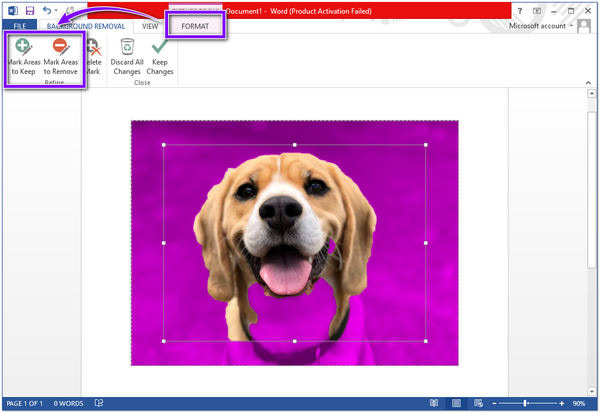 Remove Background from a Picture in Word 2013 Remove