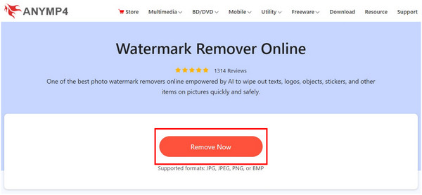 Anymp4 Watermark Remover Remove Now