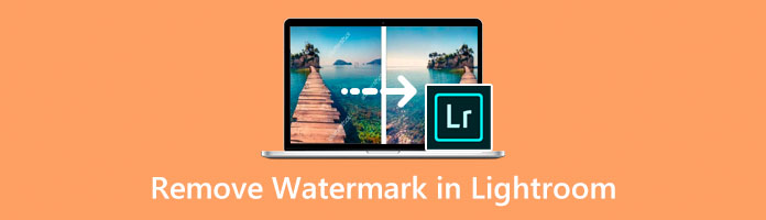 Remove Watermark in Lightroom