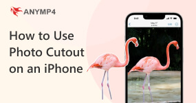 Use Photo Cutout on an iPhone