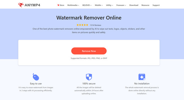 Anymp4 Watermark Remover Online