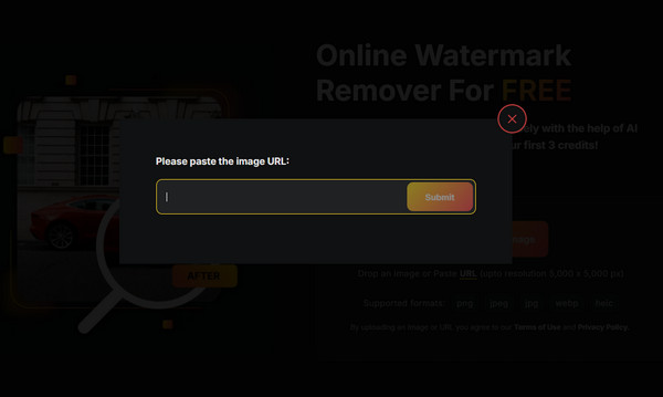 Watermarkremover io Paste Image Url Invalid