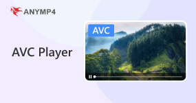 Avc Player