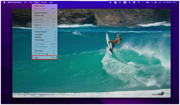 Quicktime Loop Video View Loop