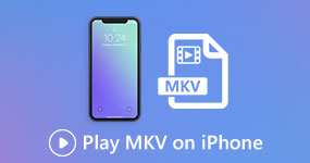 Play MKV on iPhone