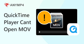Solutions to QuickTime Not Playing MOV Files