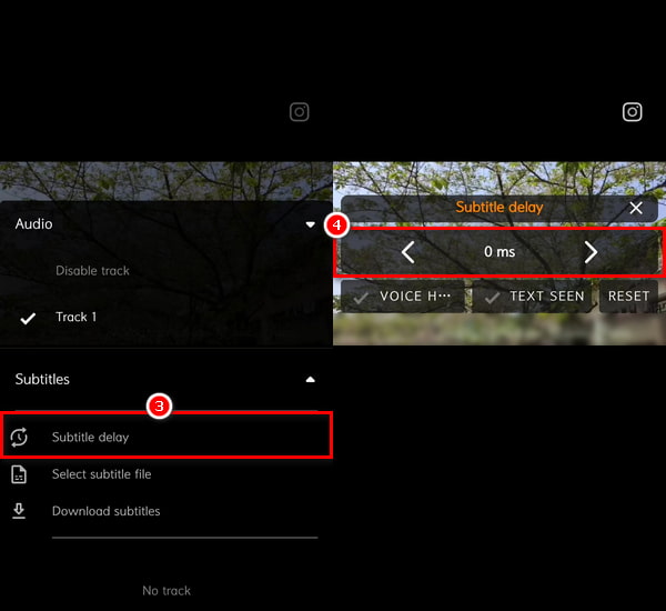 Select Subtitle Delay And Adjust