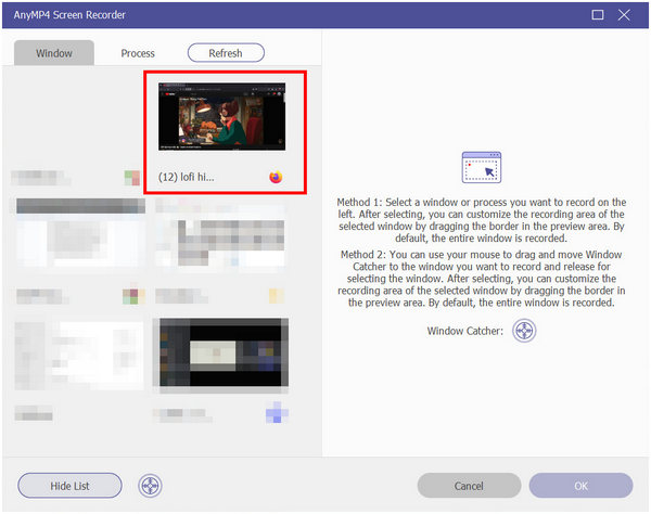 AnyMP4 Screen Recorder List Window Recorder