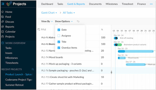 Project Management Software