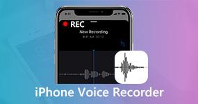 iPhone Voice Recorder