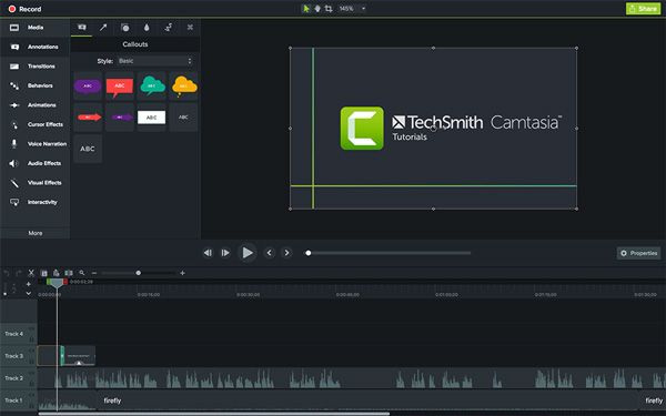 Camtasia annotations