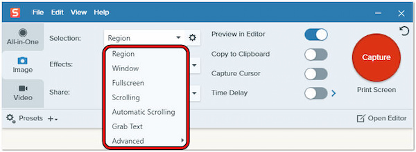 Snagit Screenshot Capture