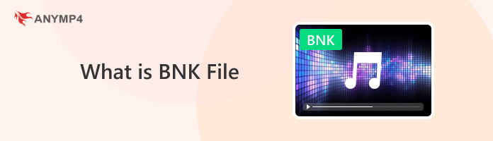 What is BNK File