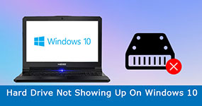 Hard Drive not Showing Up on Windows 10