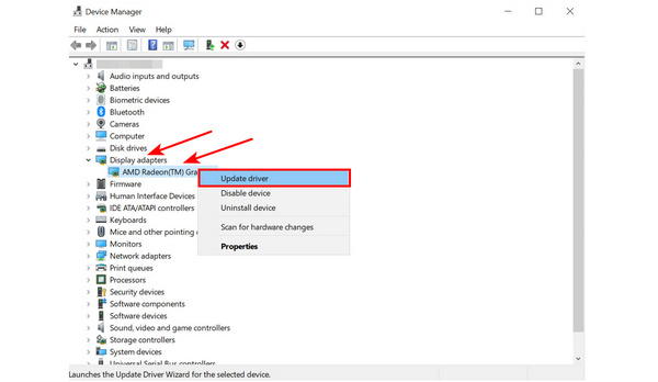 Display Adapters Update Driver