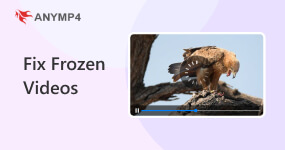 Fix Frozen Videos