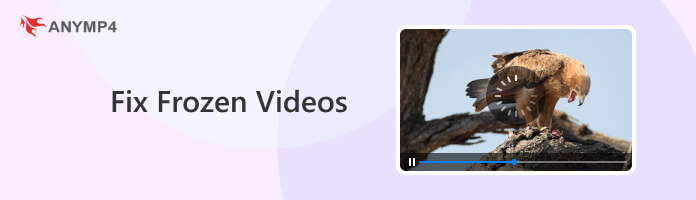 Fix Frozen Videos