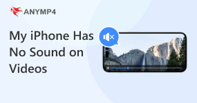 My iPhone Has No Sound on Videos