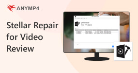 Stellar Repair for Video Review