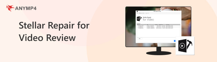 Stellar Repair for Video Review