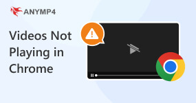 Videos Not Playing in Chrome