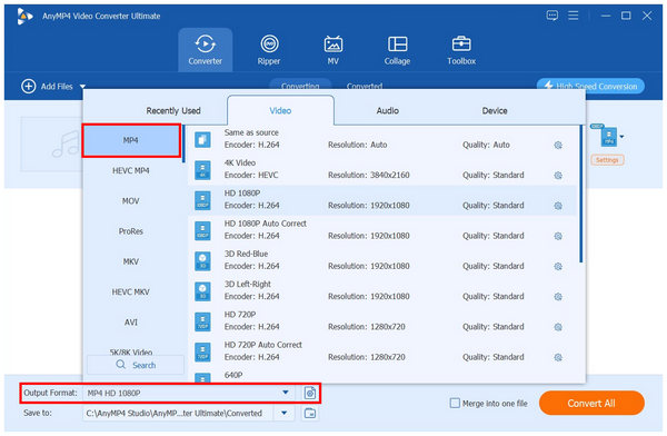 Anymp4 Video Converter Ultimate Output Format