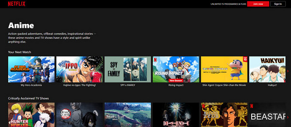 Netflix Interface