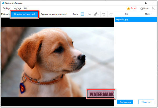 Remove Watermark Apowersoft Methods