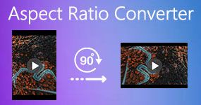 Aspect Ratio Converter