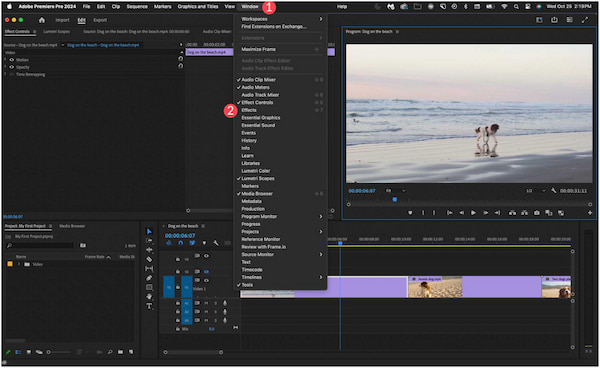 Adobe Premiere Pro