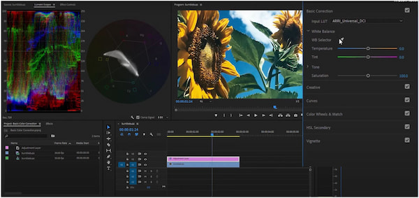 Access Premiere Pro Color Grade Presets